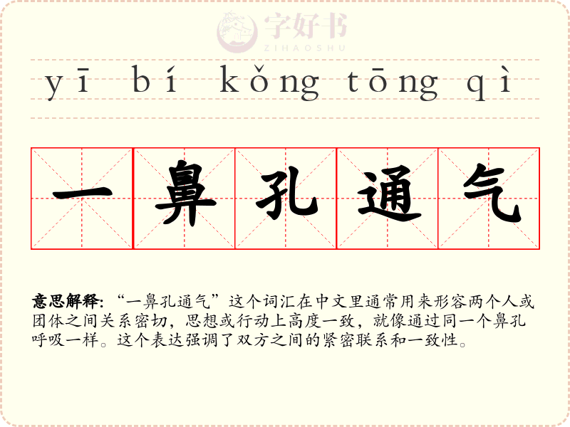 一鼻孔通气