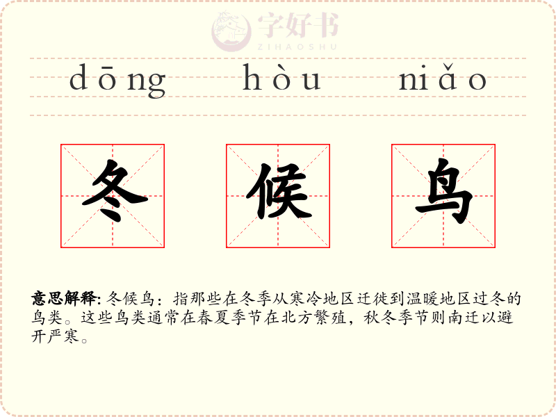 冬候鸟