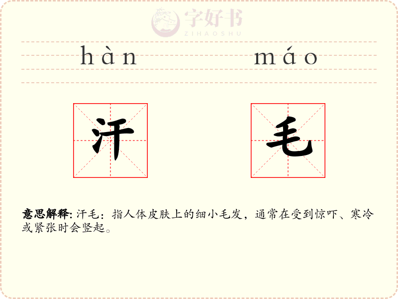 汗毛