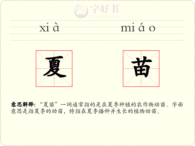 夏苗