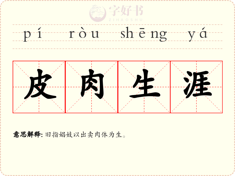 皮肉生涯