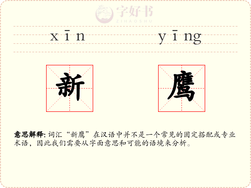 新鹰