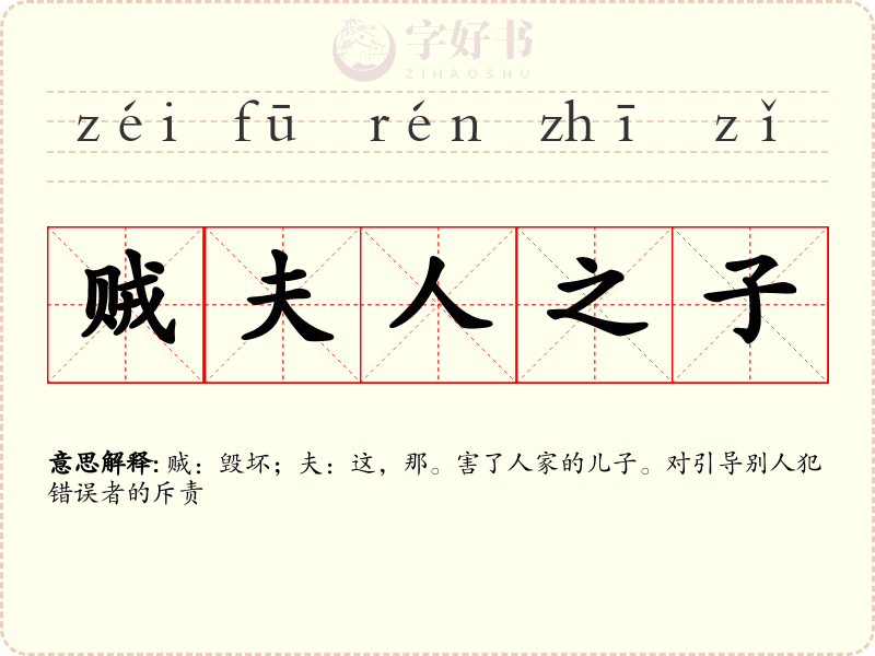 贼夫人之子