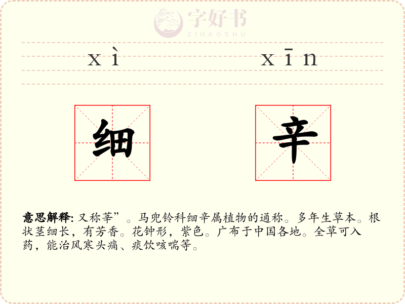 细辛