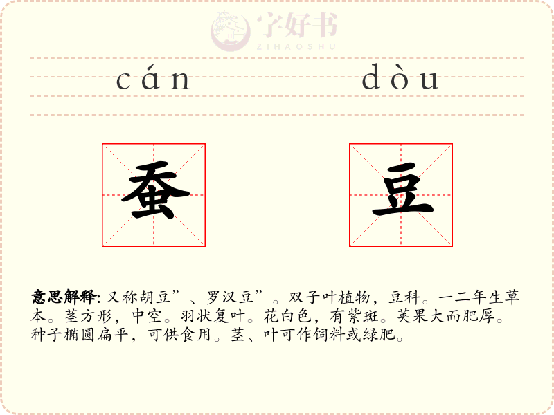 蚕豆