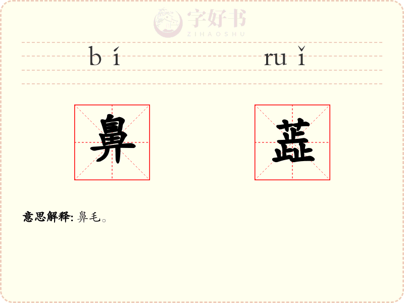 鼻蕋