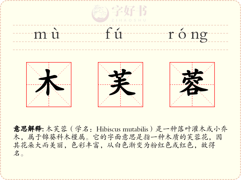 木芙蓉