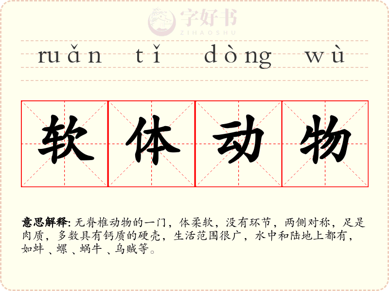软体动物