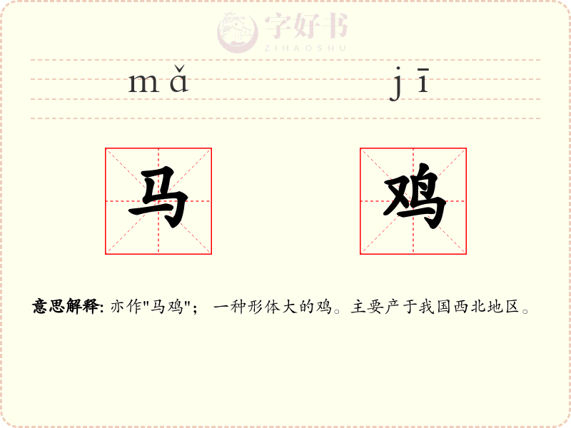 马鸡