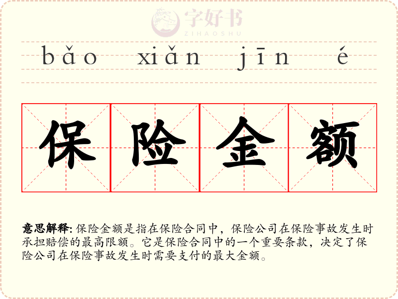 保险金额
