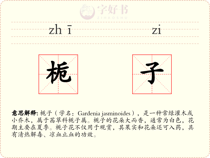 栀子
