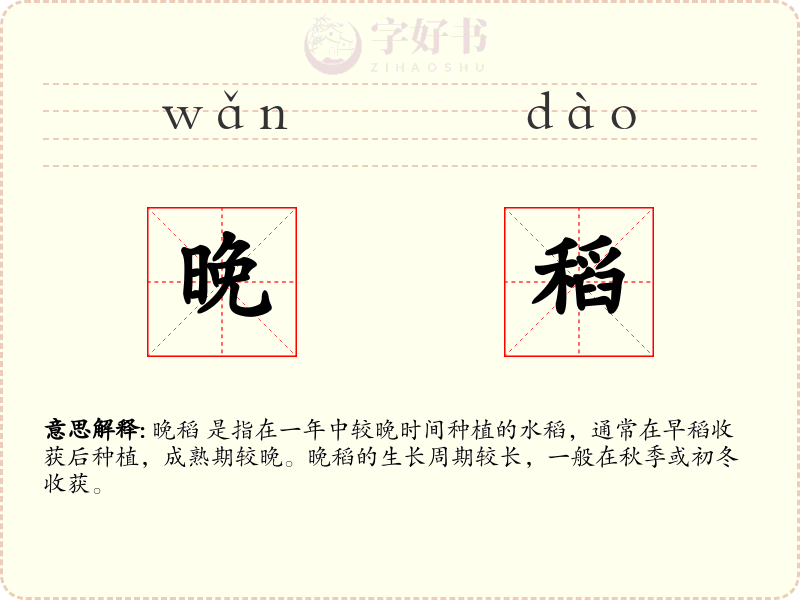晚稻