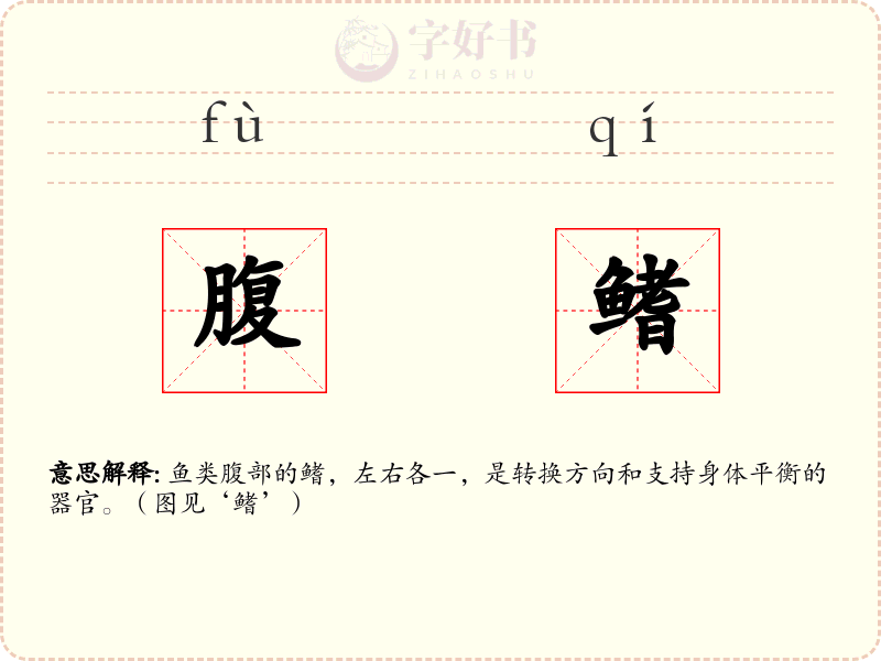 腹鳍
