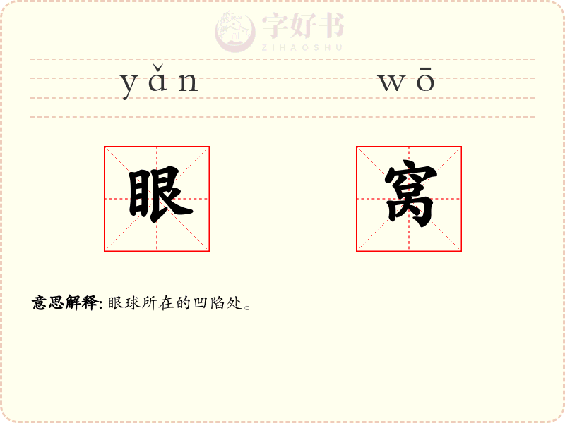 眼窝