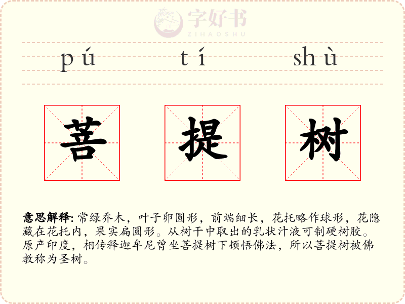 菩提树