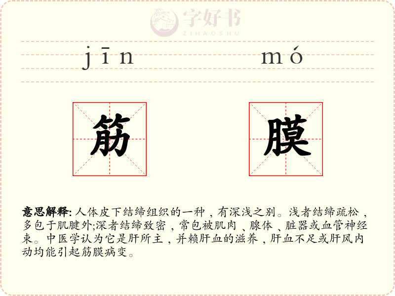 筋膜