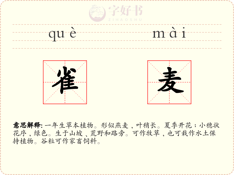 雀麦
