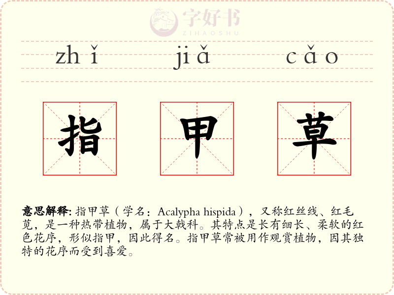 指甲草