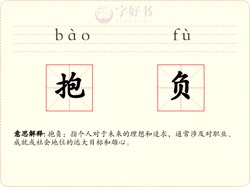 抱负