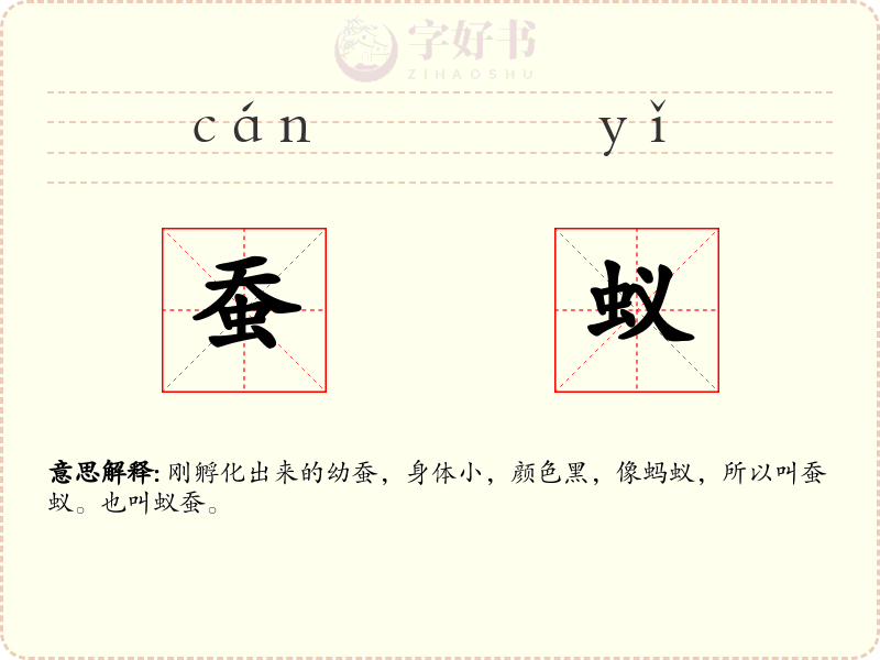 蚕蚁