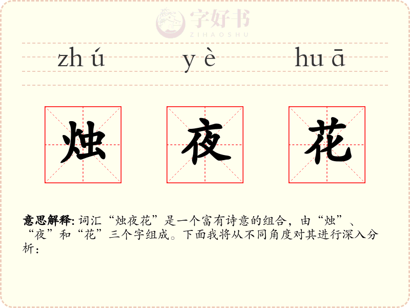 烛夜花