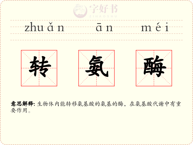转氨酶