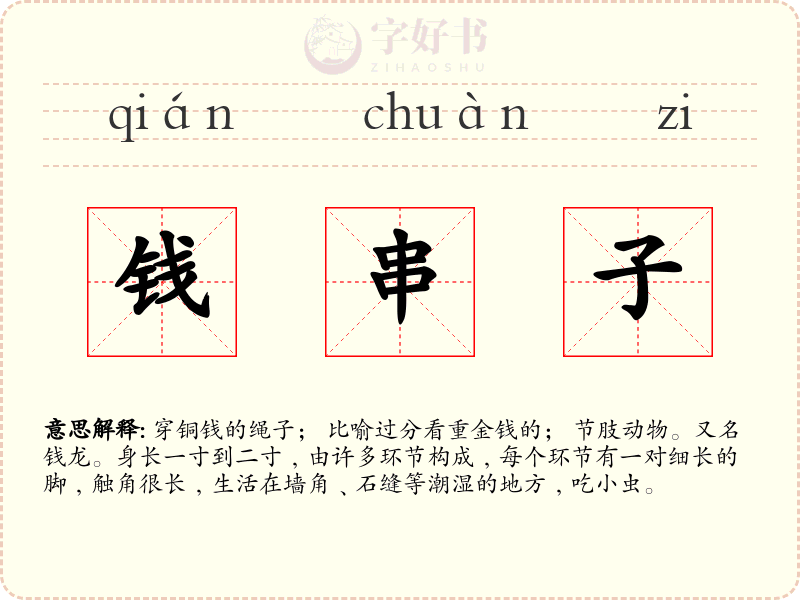 钱串子
