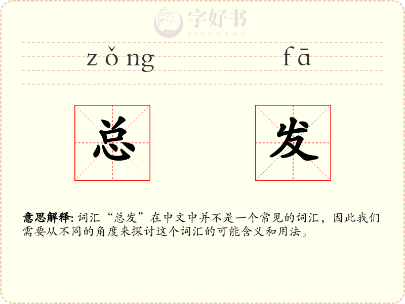 总发
