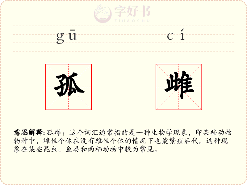 孤雌