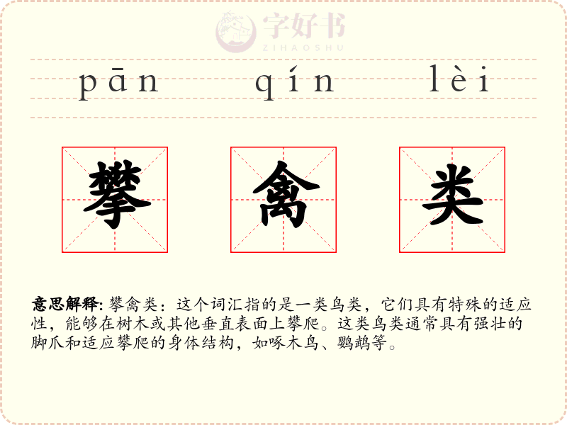攀禽类