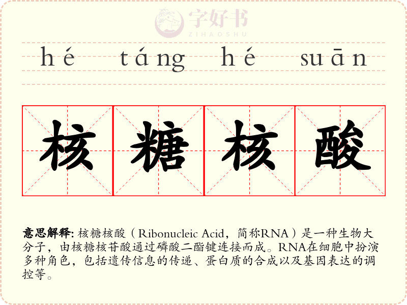 核糖核酸