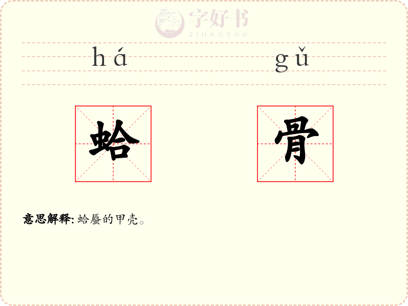 蛤骨