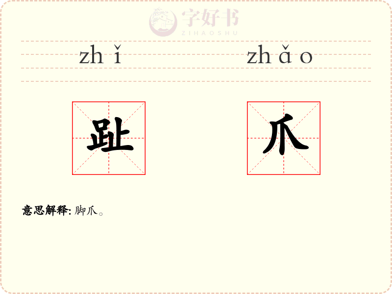 趾爪