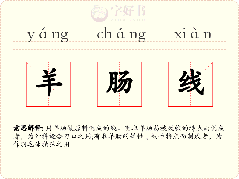 羊肠线