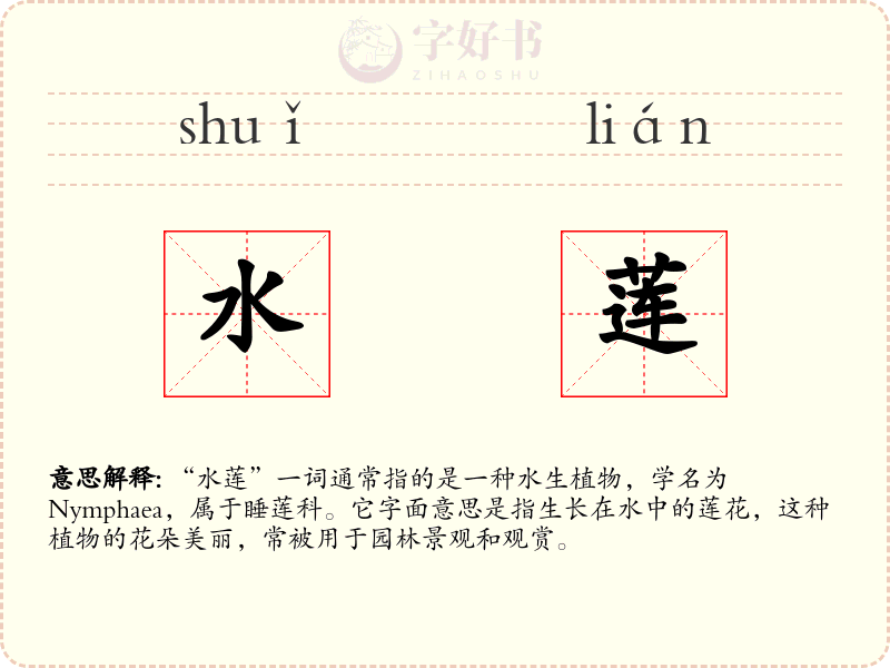 水莲