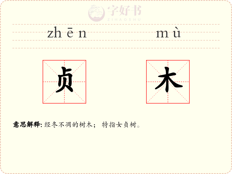 贞木