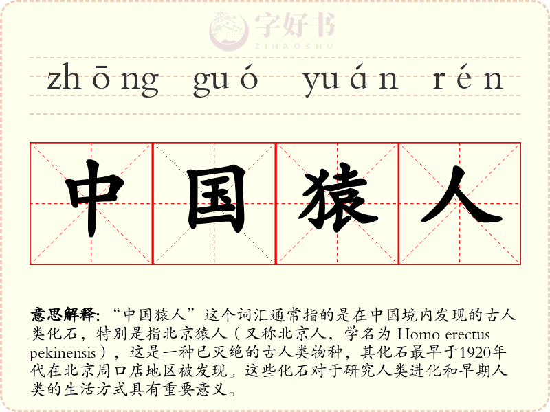中国猿人