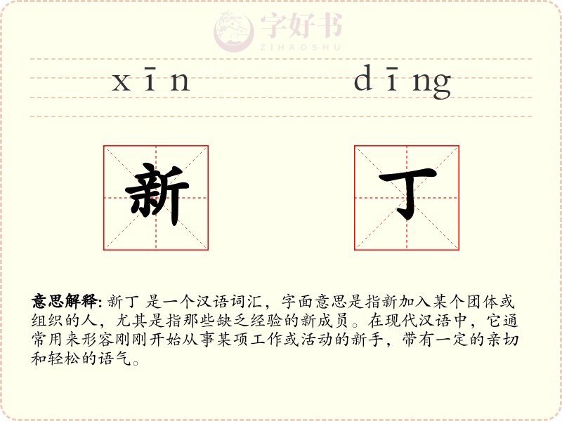 新丁