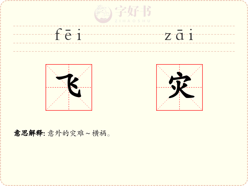 飞灾