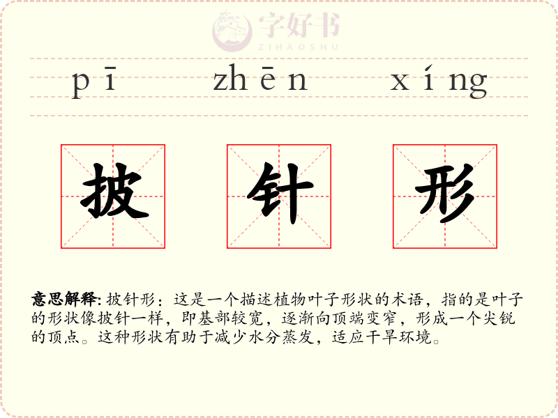 披针形