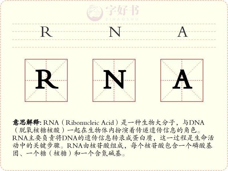 RNA
