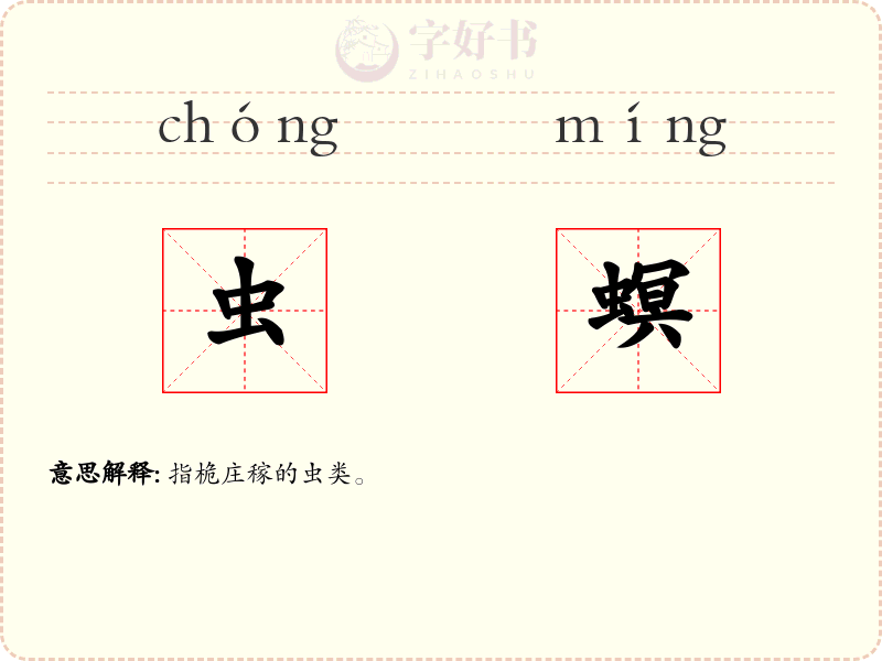 虫螟