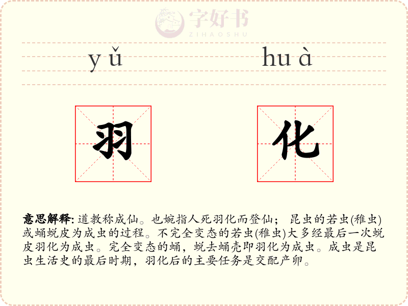 羽化
