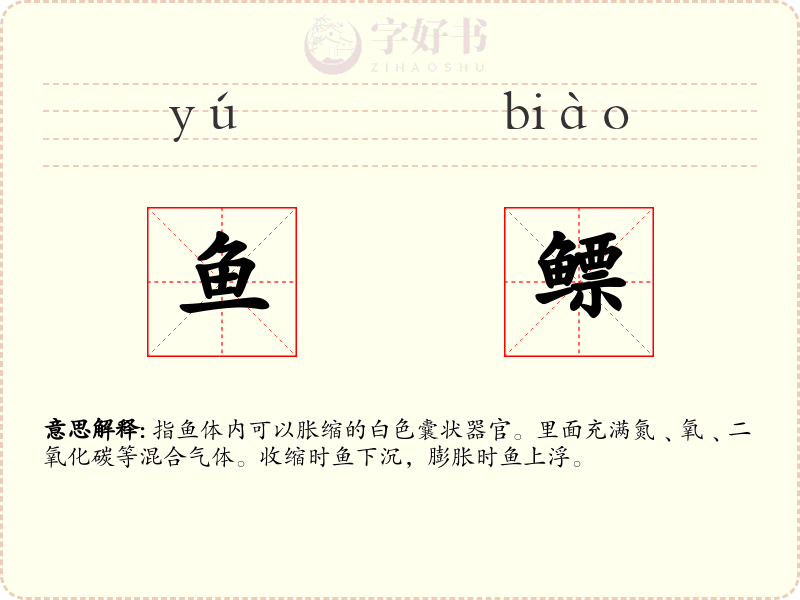 鱼鳔