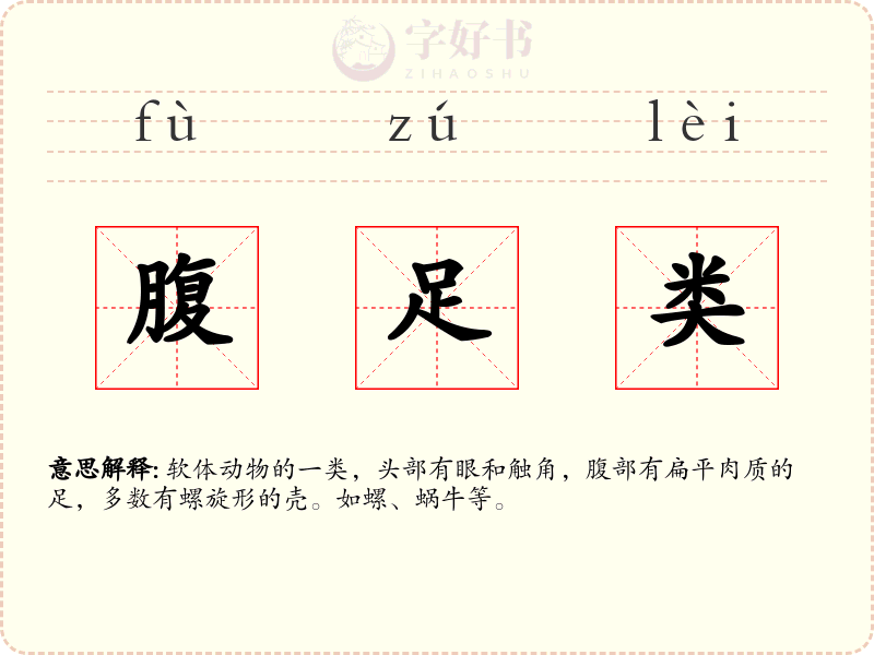 腹足类