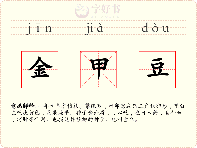 金甲豆