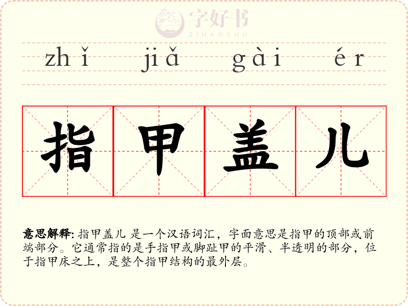 指甲盖儿