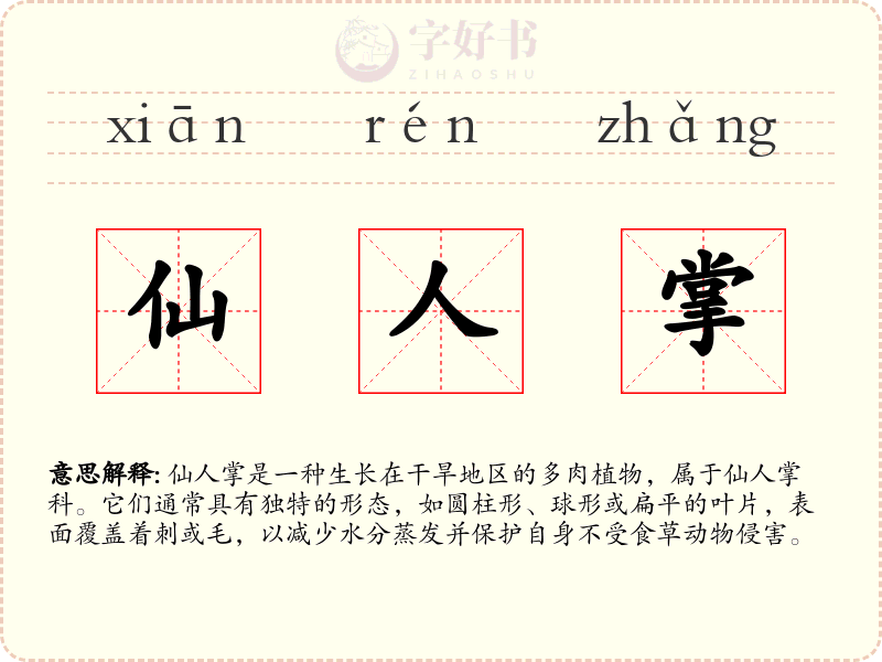 仙人掌