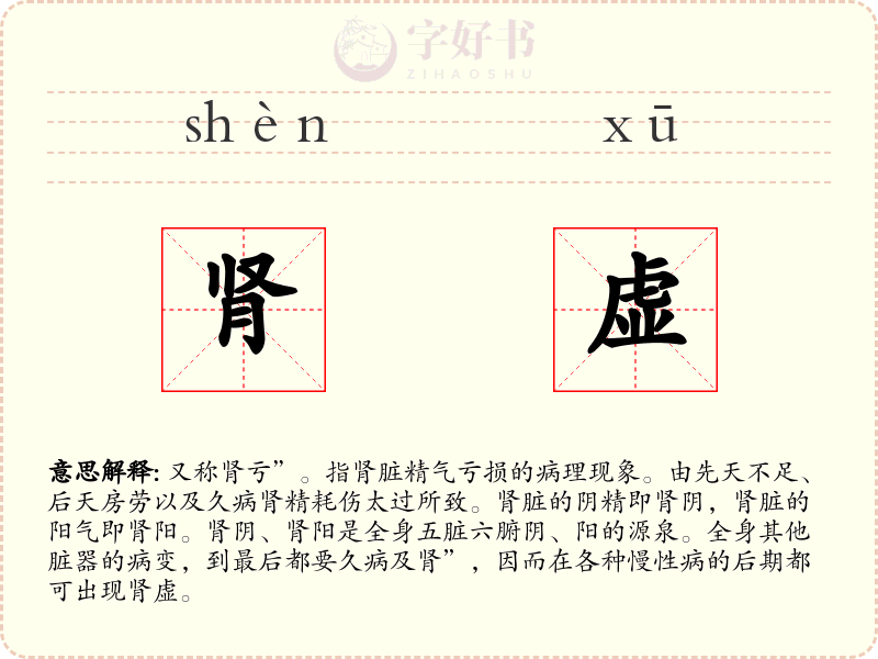 肾虚