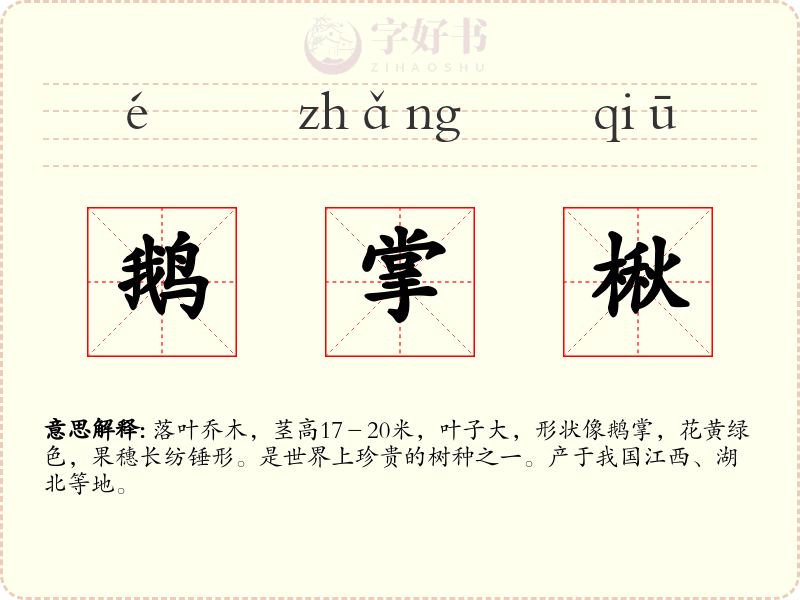 鹅掌楸